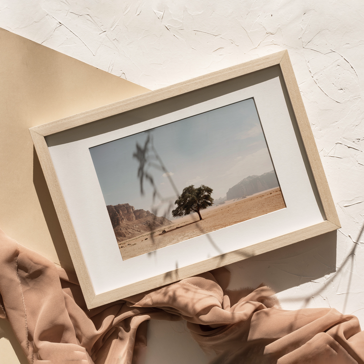 Shelf Love Collective photography art print Acacia Tree Art Print