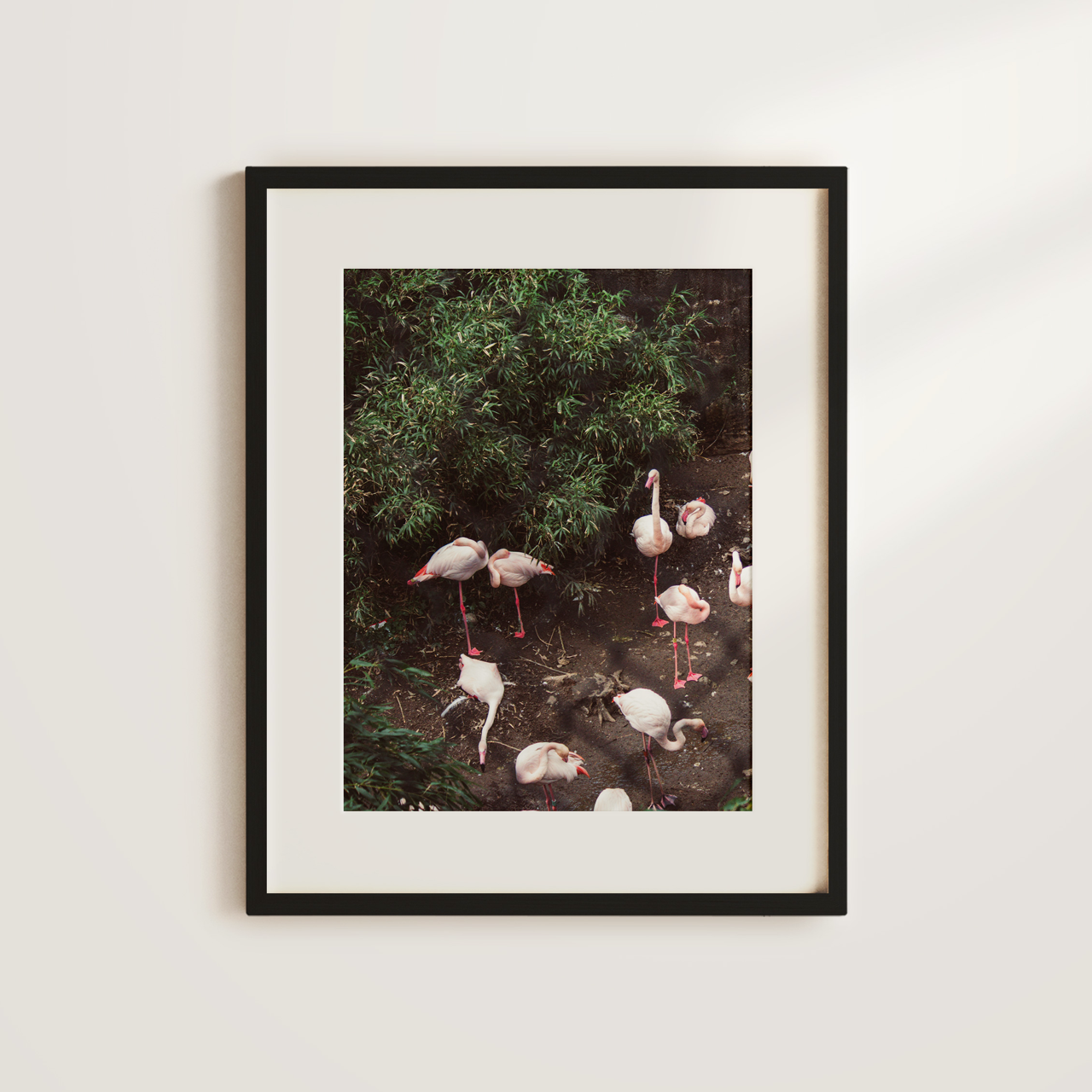 Shelf Love Collective photography art print Flamingos Art Print