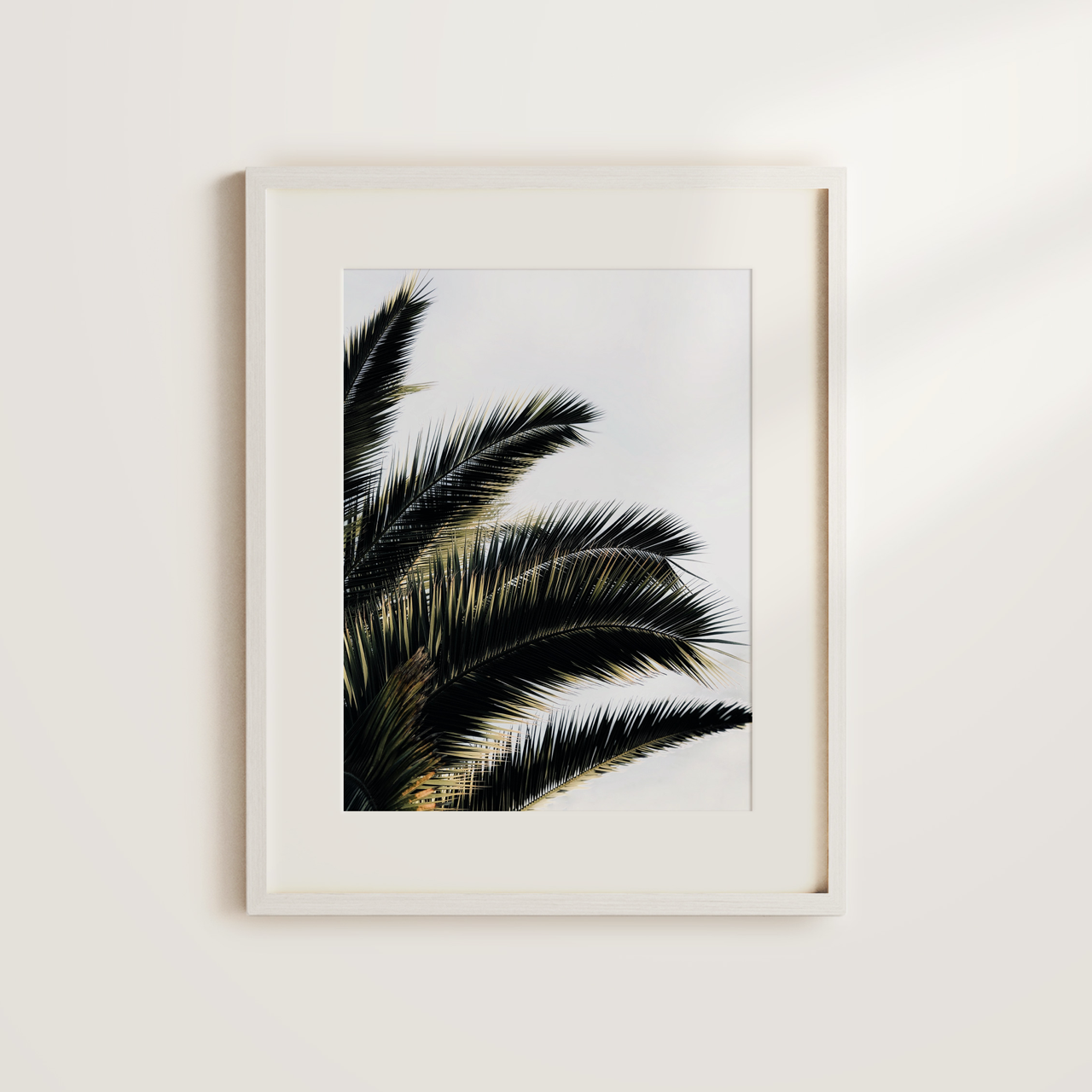 Shelf Love Collective photography art print Fronds Art Print