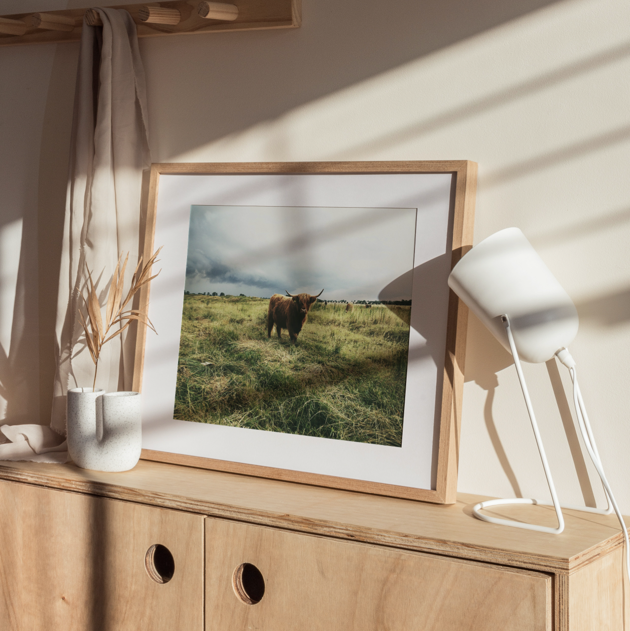 Shelf Love Collective photography art print Highland Cow Art Print