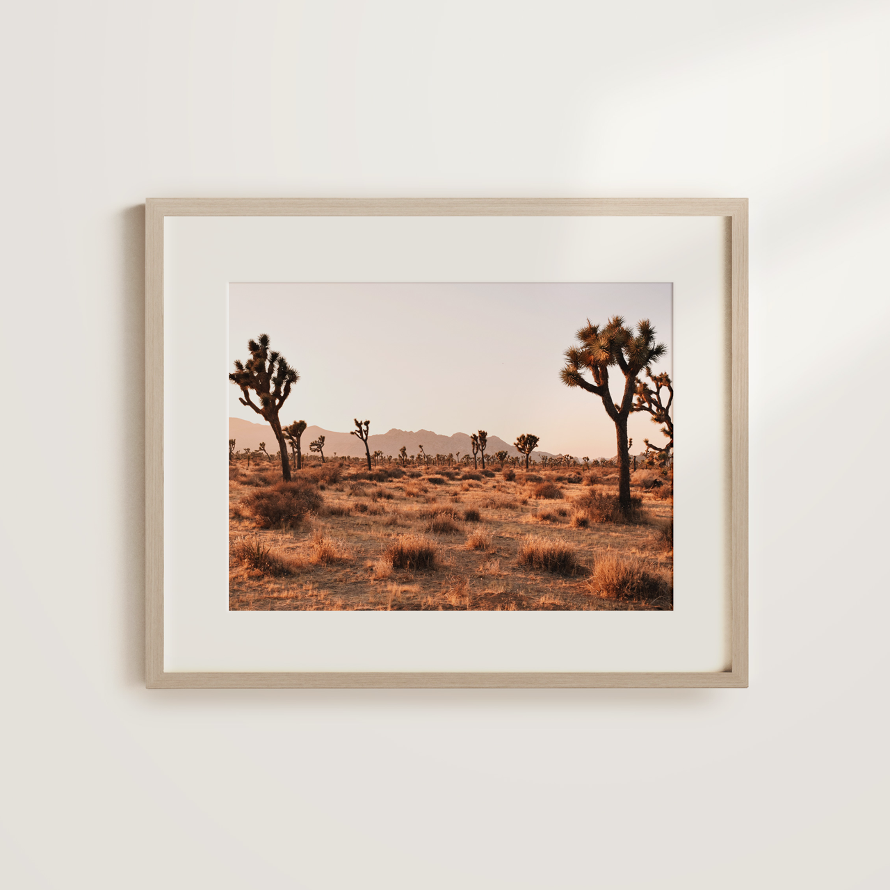 Shelf Love Collective photography art print Joshua Tree Art Print