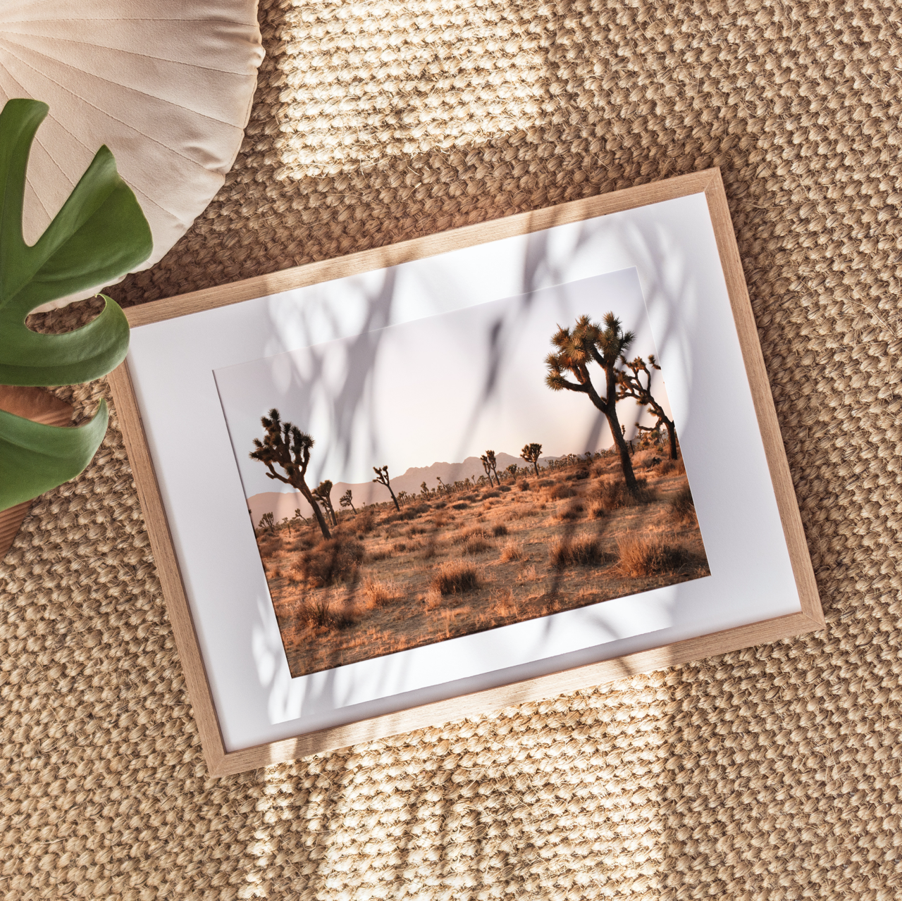 Shelf Love Collective photography art print Joshua Tree Art Print