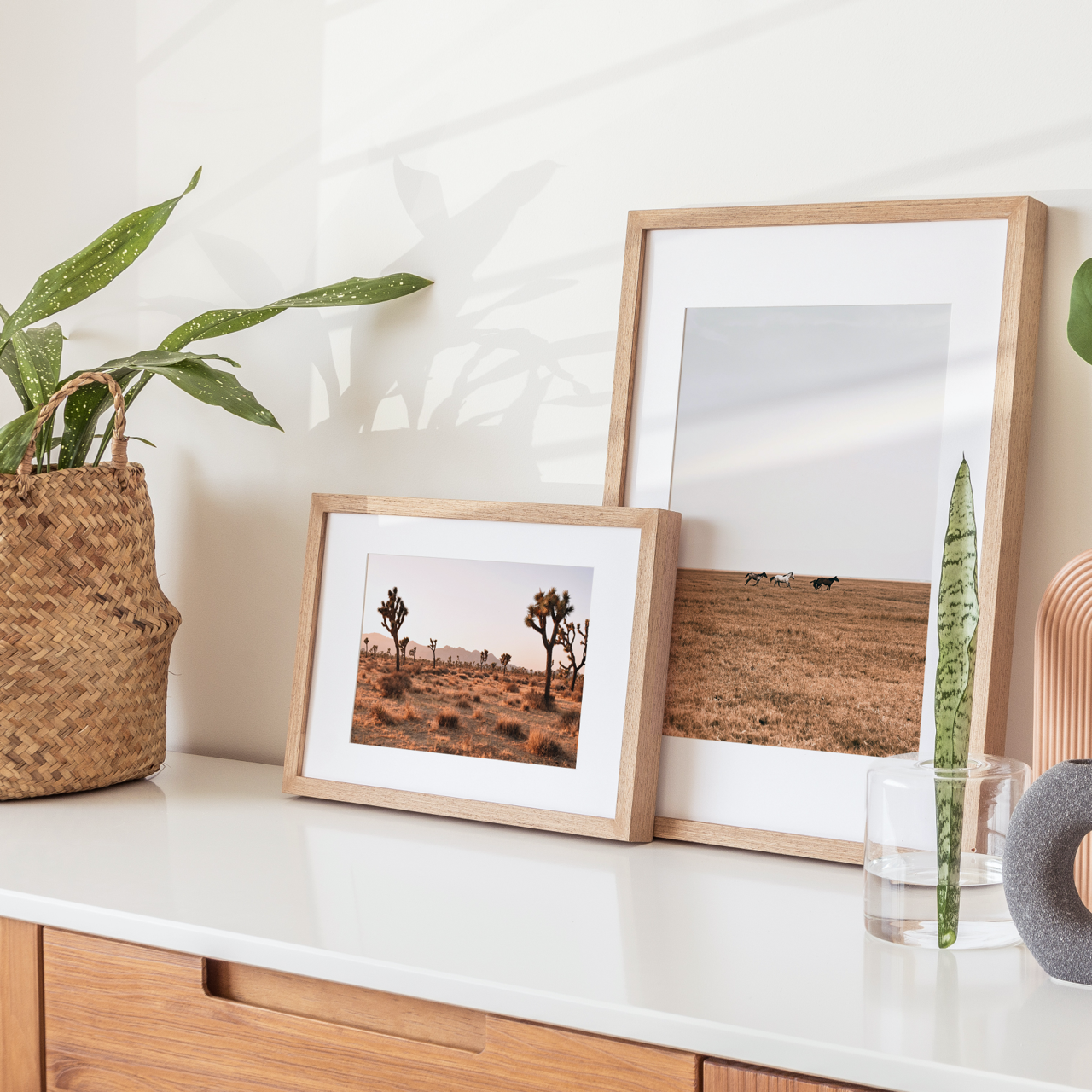 Shelf Love Collective photography art print Joshua Tree Art Print