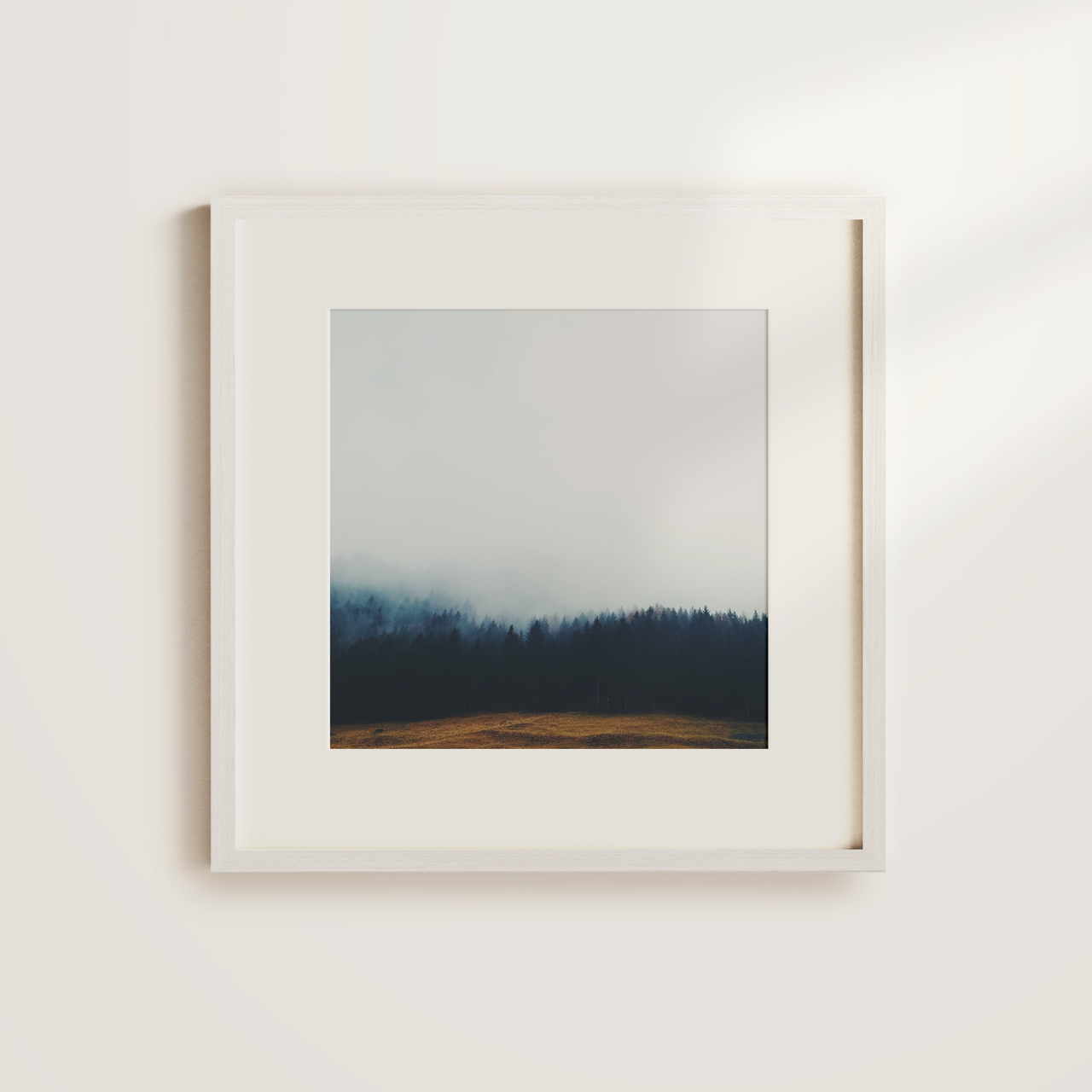 Shelf Love Collective photography art print Misty Forest Art Print