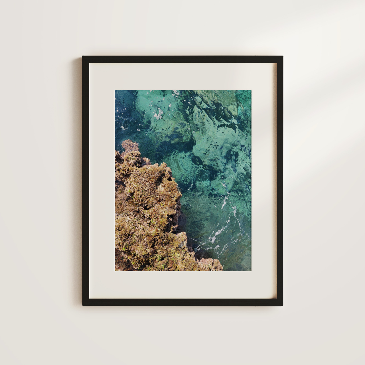 Shelf Love Collective photography art print Reef Art Print