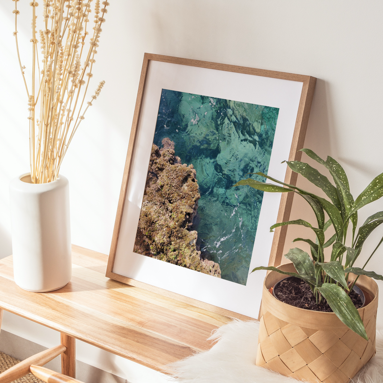 Shelf Love Collective photography art print Reef Art Print