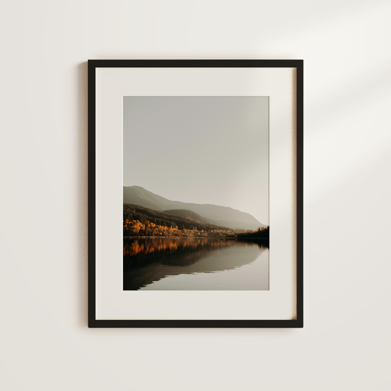 Shelf Love Collective photography art print Reflection Art Print