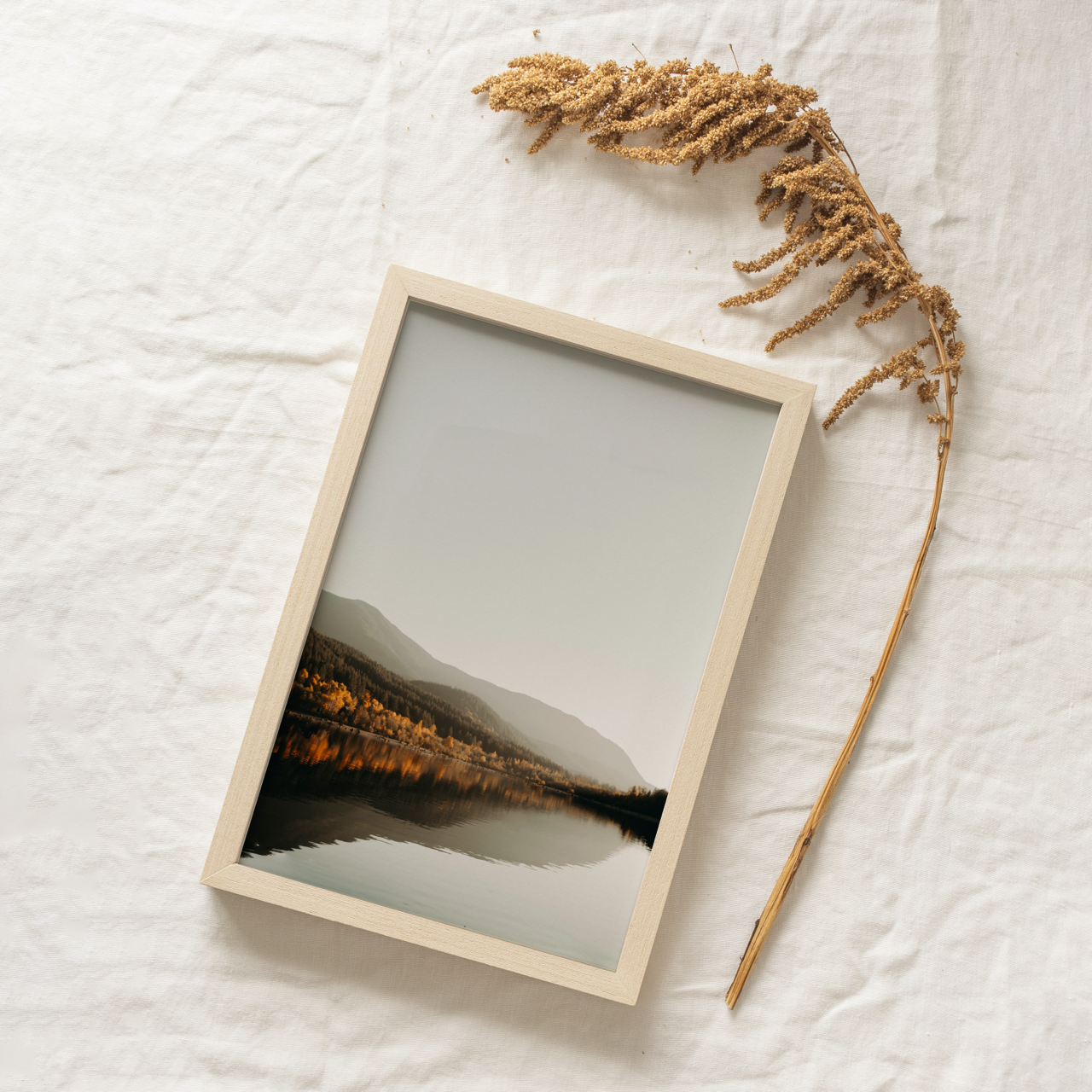 Shelf Love Collective photography art print Reflection Art Print