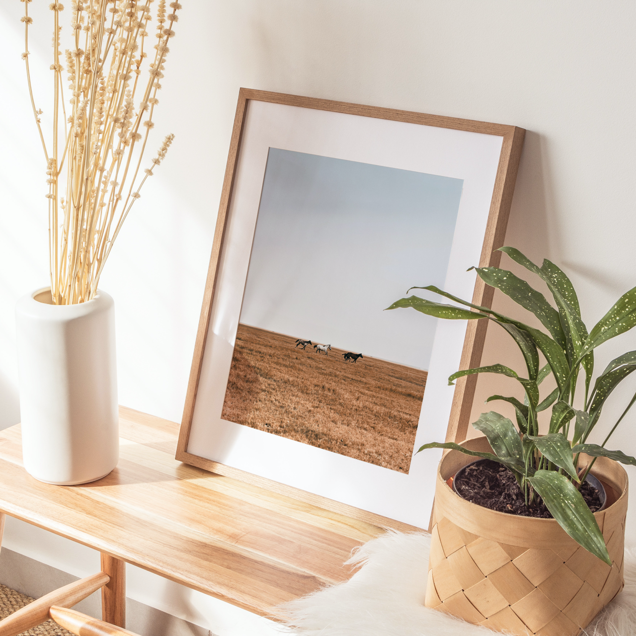 Shelf Love Collective photography art print Run Art Print