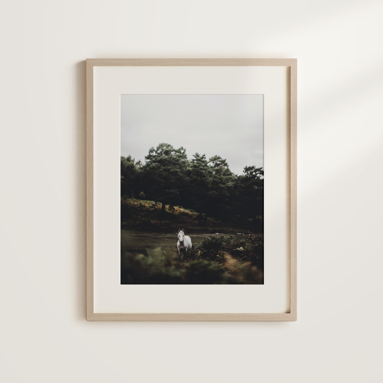 Shelf Love Collective photography art print Wild Art Print