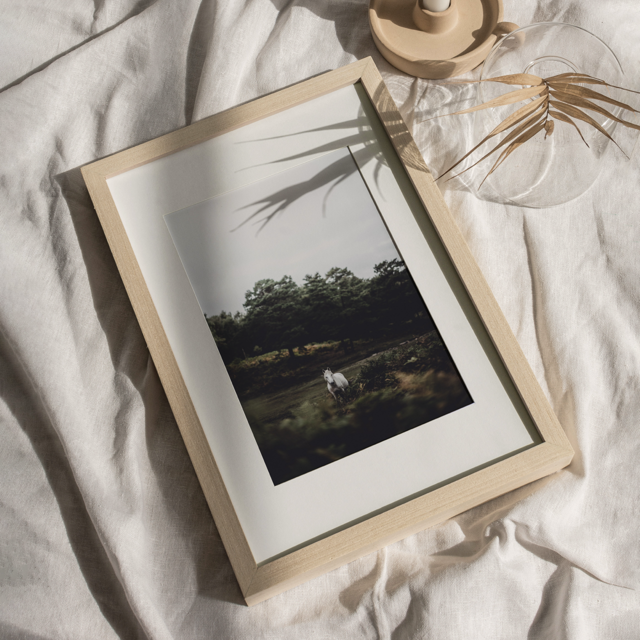 Shelf Love Collective photography art print Wild Art Print