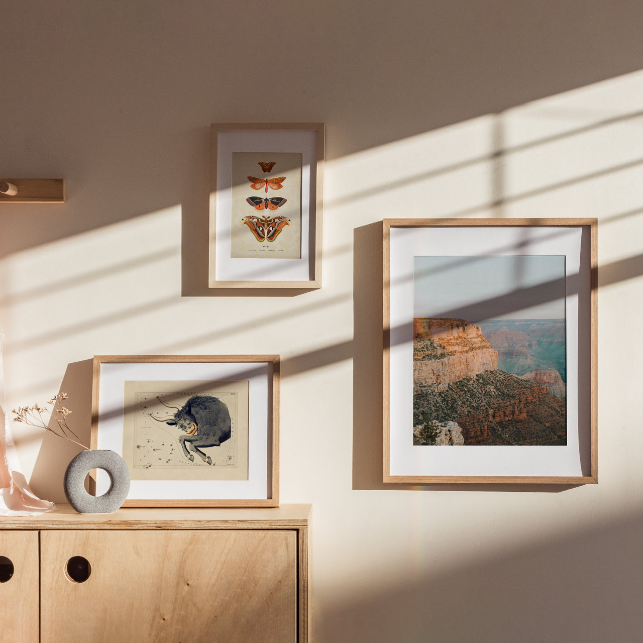 Shelf Love Print Shop photography art print Canyon Art Print