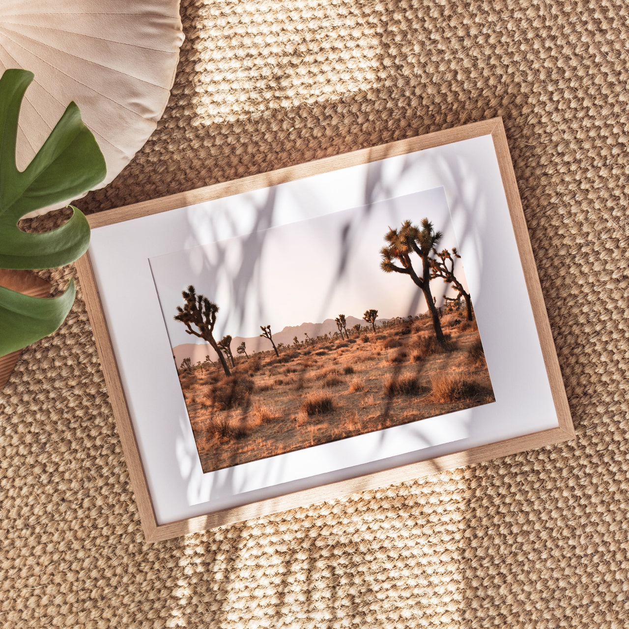 Shelf Love Print Shop photography art print Joshua Tree Art Print