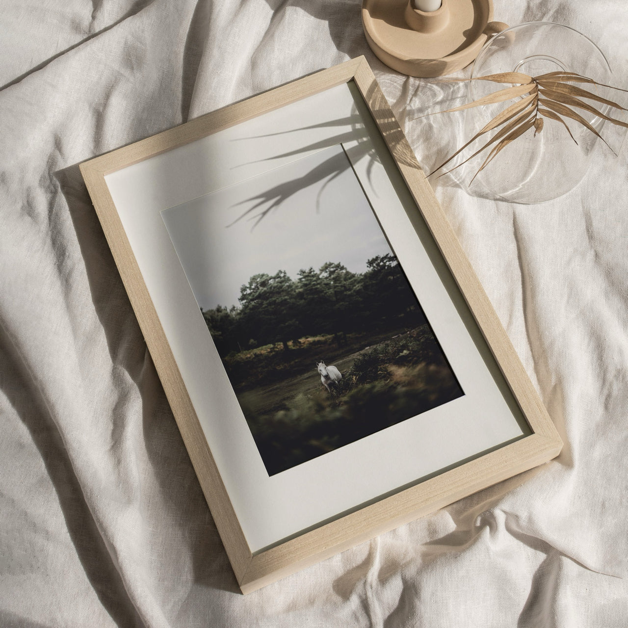 Shelf Love Print Shop photography art print Wild Art Print