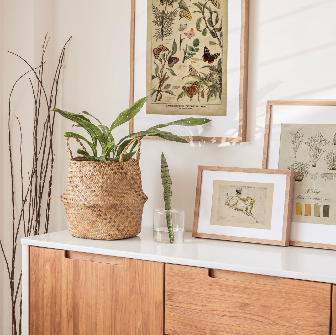 Shelf Love Print Shop vintage art print Aries Art Print