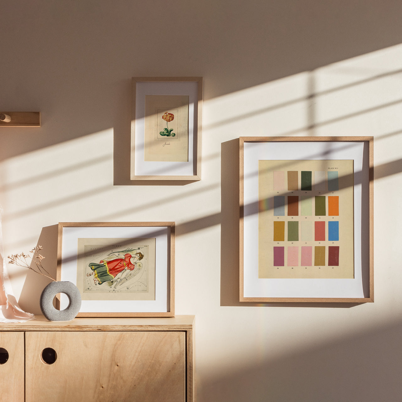 Shelf Love Print Shop vintage art print Auricula Art Print