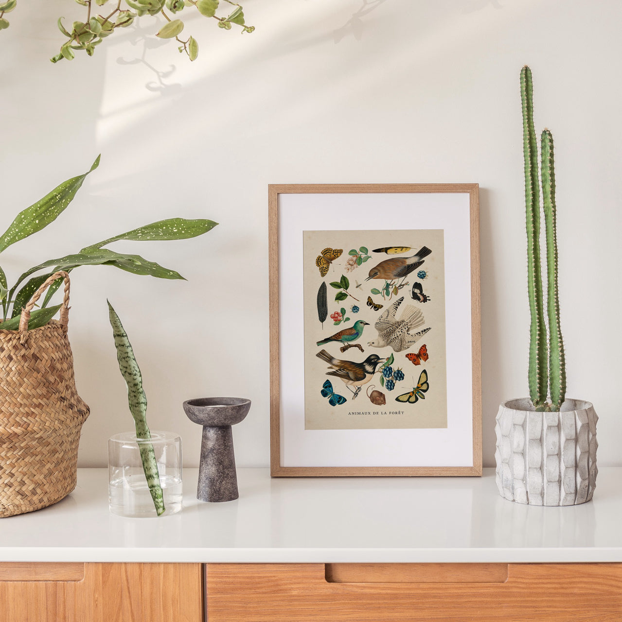 Shelf Love Print Shop vintage art print Birds and Insects Art Print