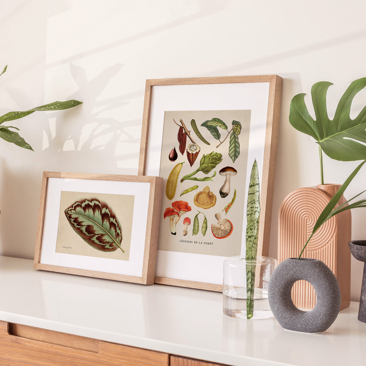 Shelf Love Print Shop vintage art print Calathea Leaf Art Print