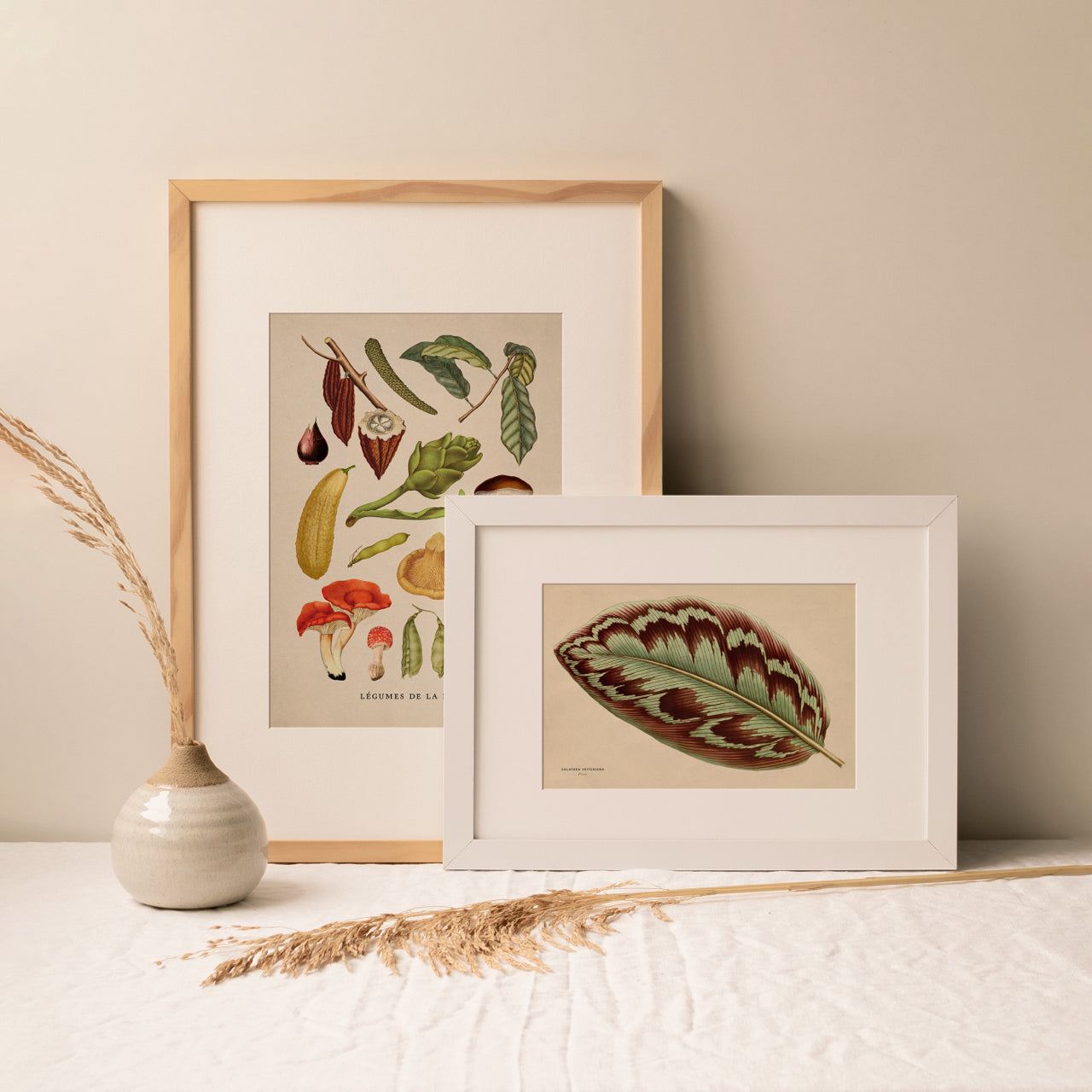 Shelf Love Print Shop vintage art print Calathea Leaf Art Print