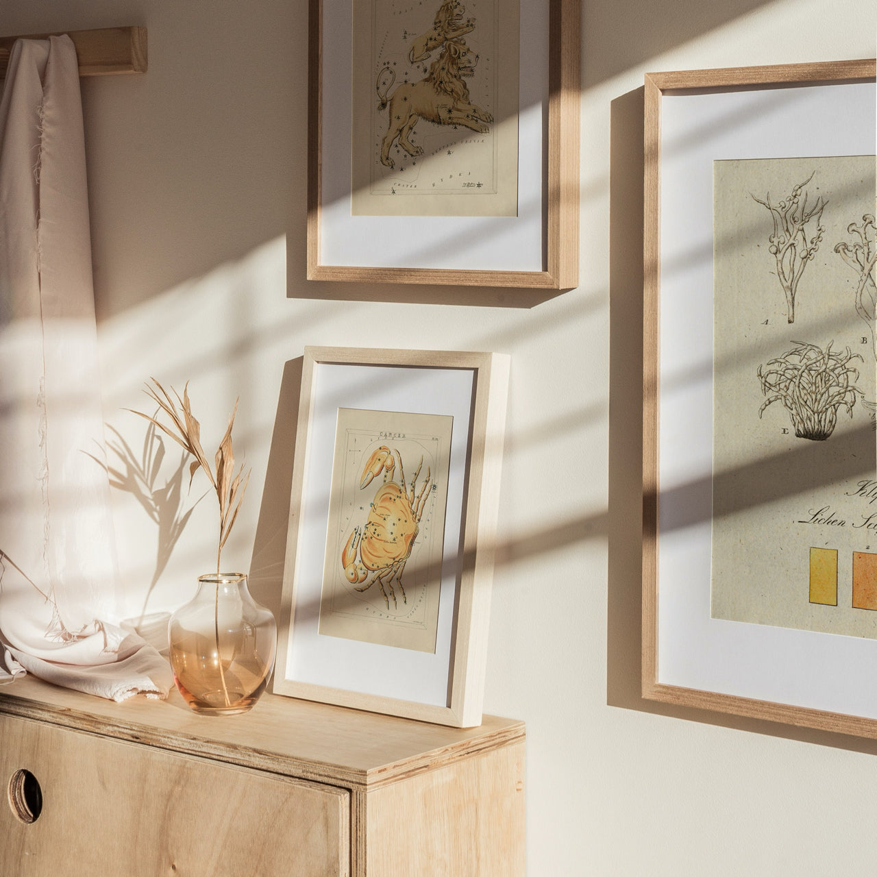 Shelf Love Print Shop vintage art print Cancer Art Print