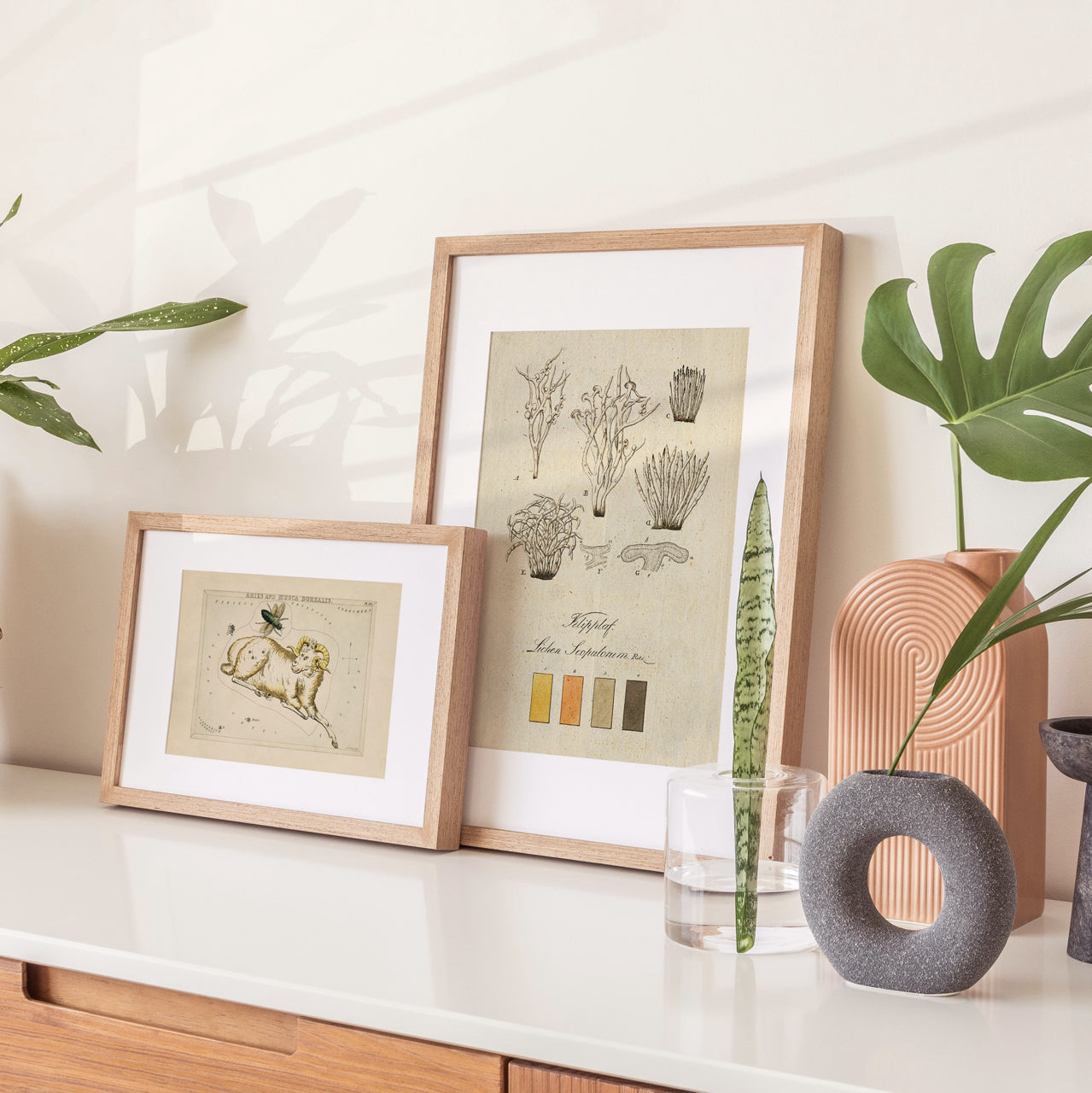 Shelf Love Print Shop vintage art print Colors in Nature 4 Art Print