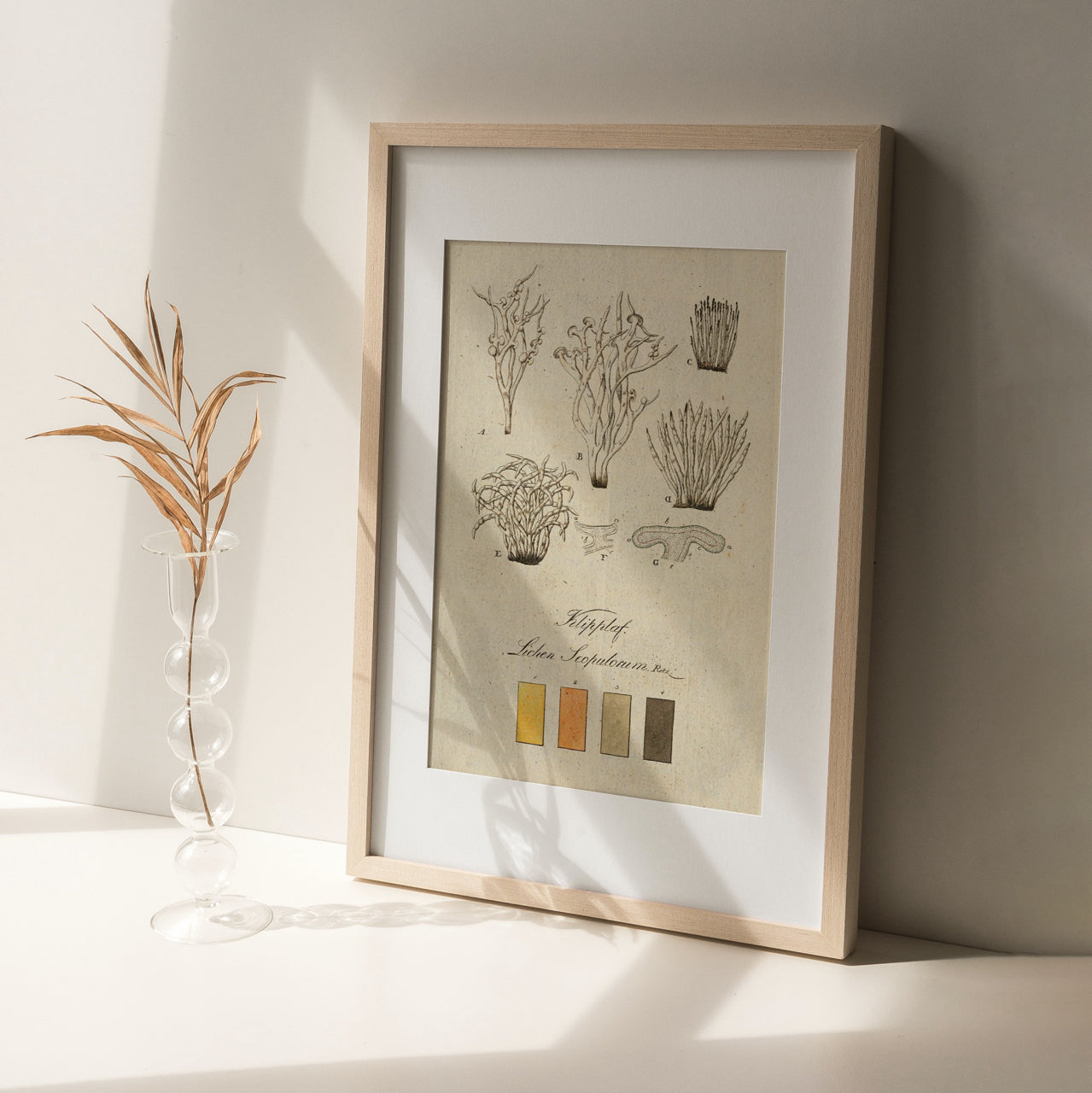 Shelf Love Print Shop vintage art print Colors in Nature 4 Art Print