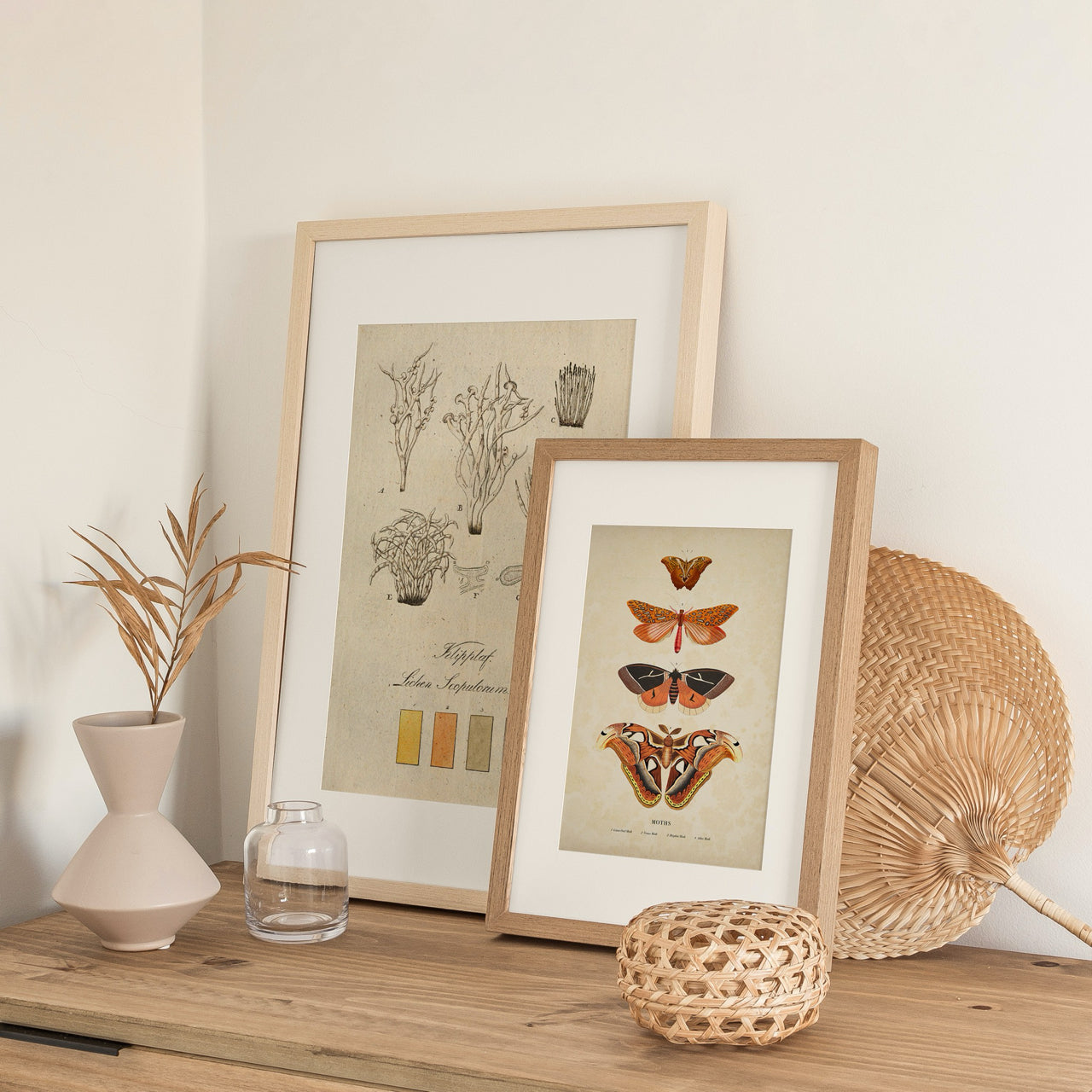 Shelf Love Print Shop vintage art print Moths Art Print
