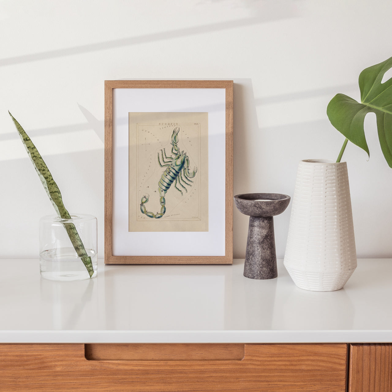 Shelf Love Print Shop vintage art print Scorpio Art Print