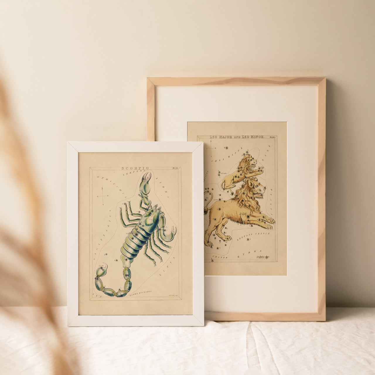 Shelf Love Print Shop vintage art print Scorpio Art Print