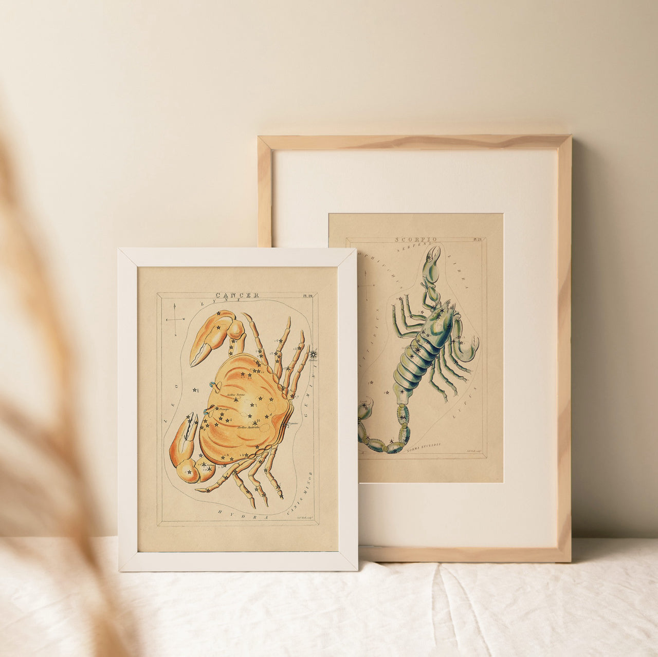 Shelf Love Print Shop vintage art print Scorpio Art Print