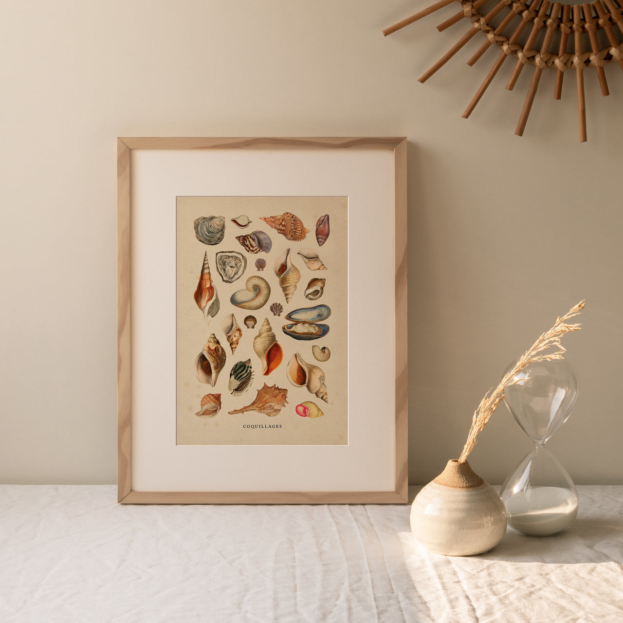 Shelf Love Print Shop vintage art print Shells Art Print