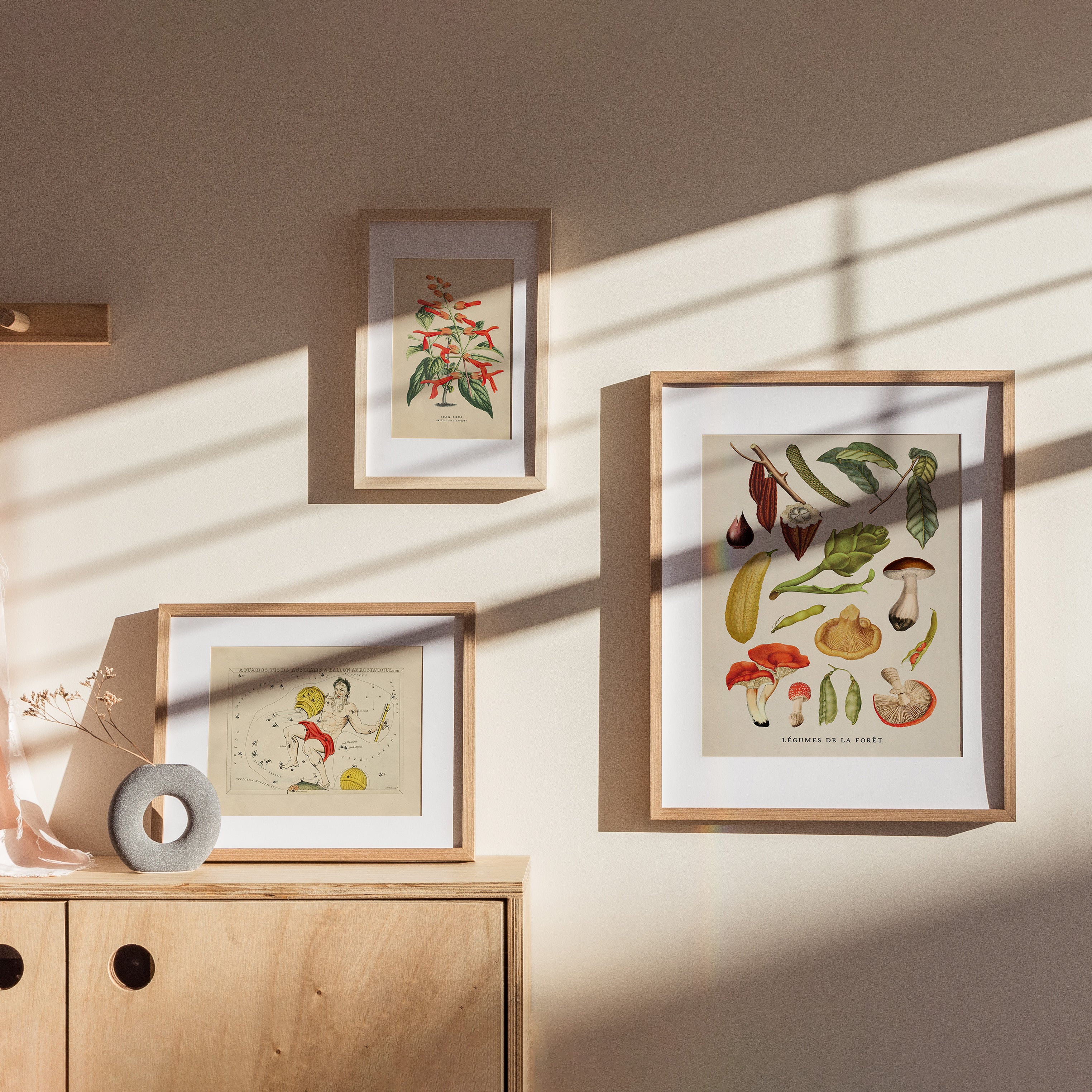 Shelf Love Print Shop vintage art print Vegetables Art Print