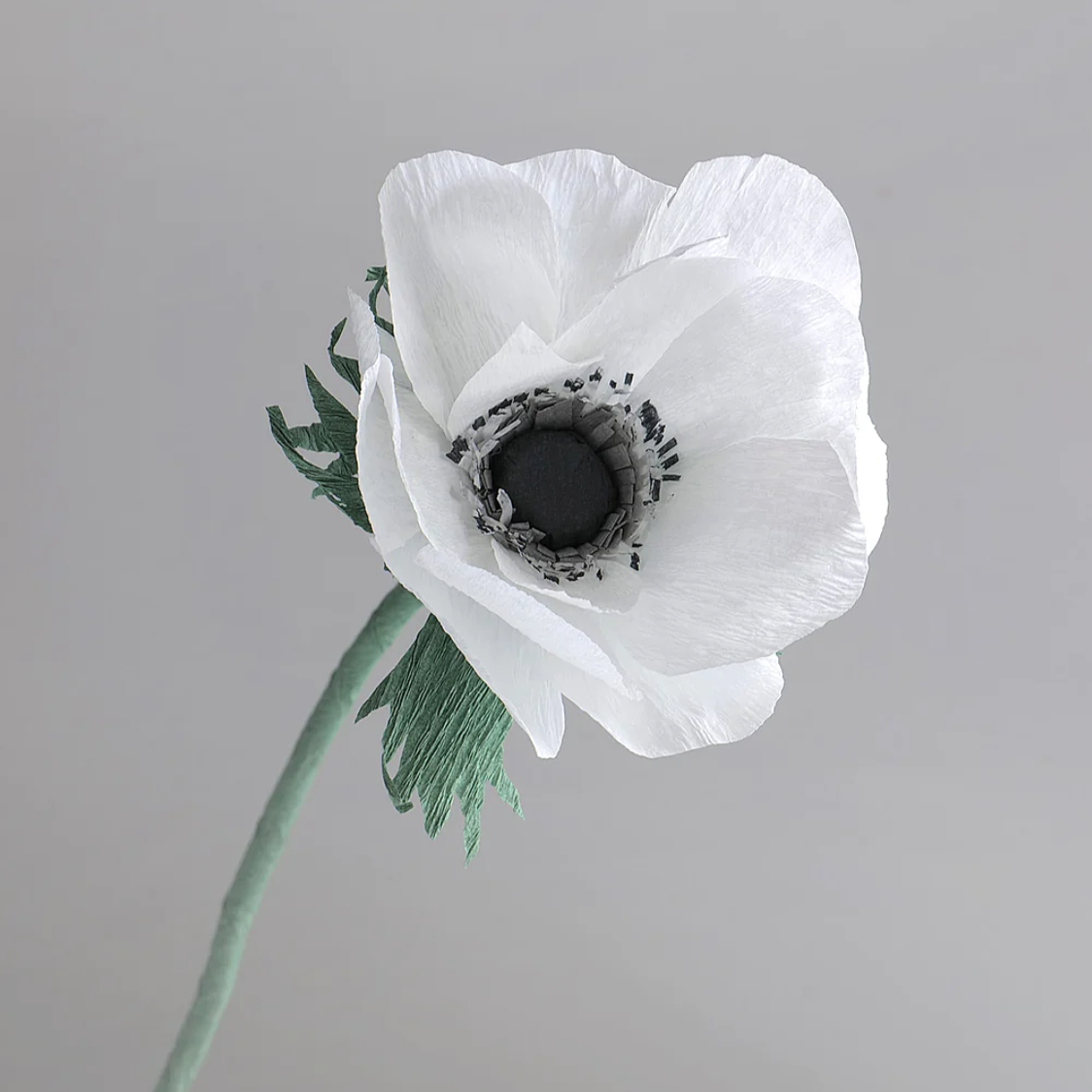 Unwilted faux flower White Anemone