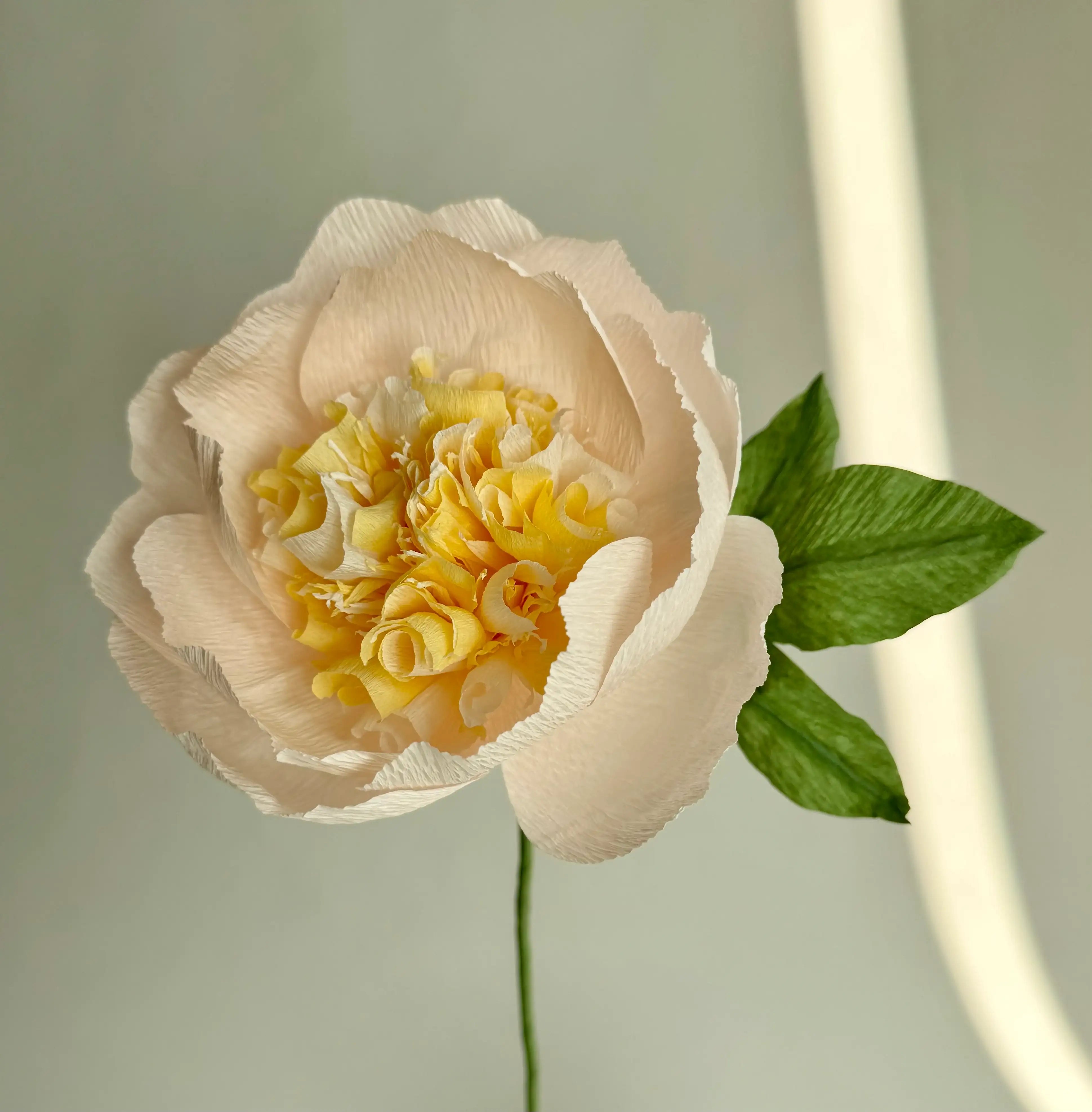 unwilted Paper Bloom Baby Pink & Cream Fluffy Peony