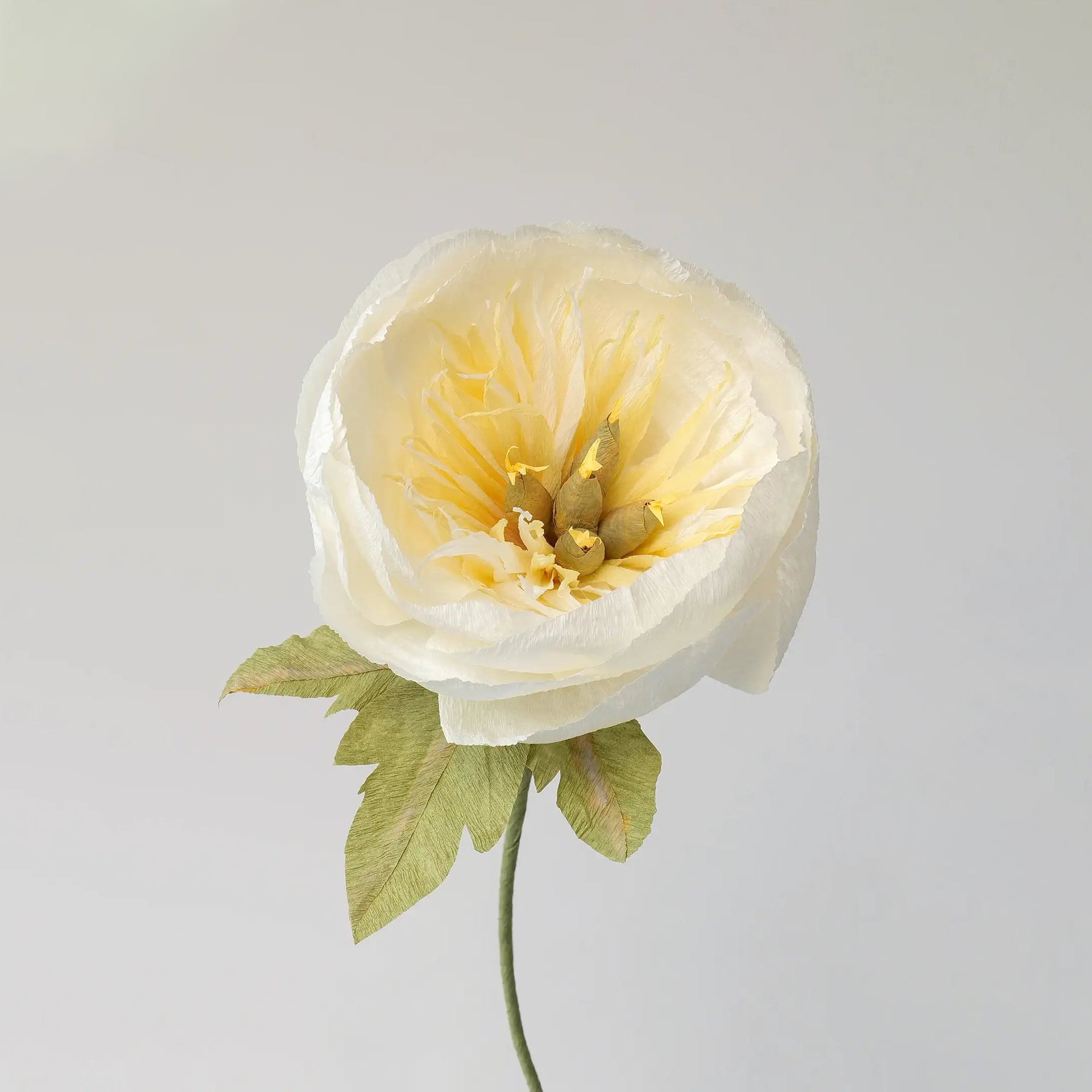 unwilted Paper Bloom Bowl Peony Single Stem