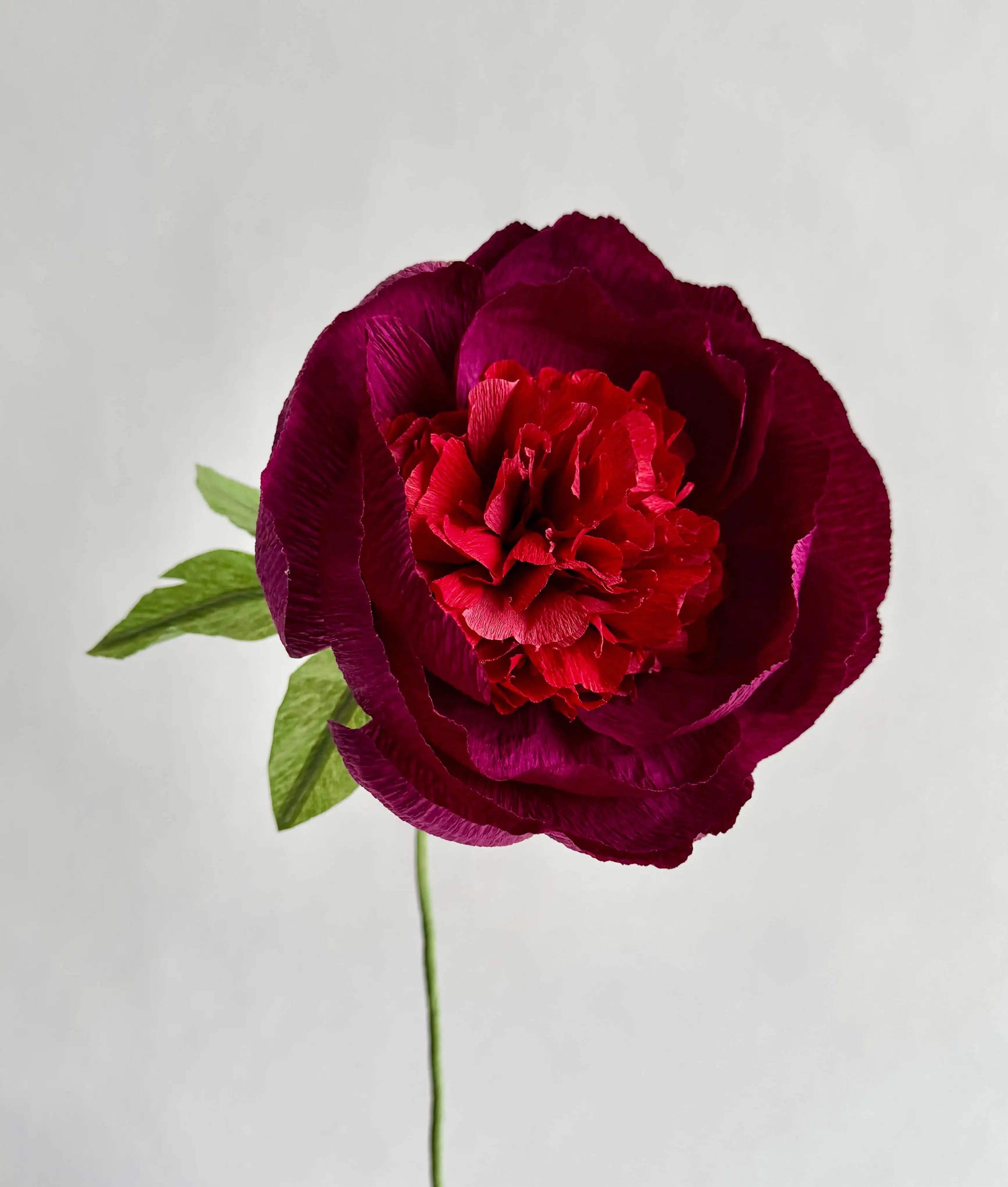 unwilted Paper Bloom Burgundy & Magenta Fluffy Peony