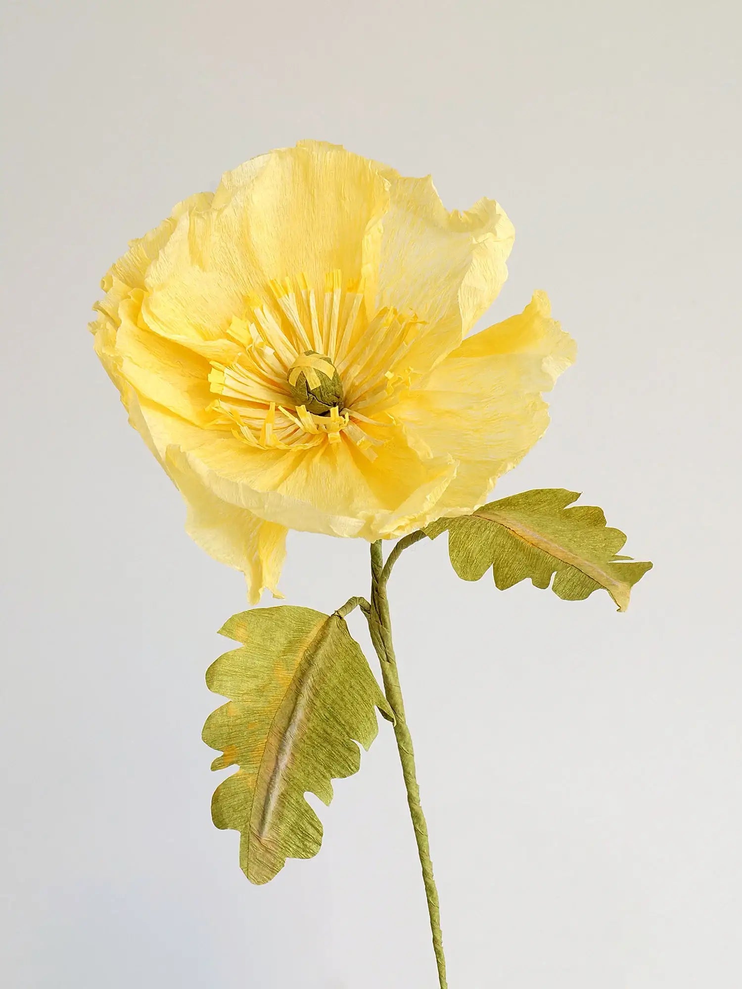 unwilted Paper Bloom Cream Icelandic Poppy Single Stem | Handcrafted Paper Flower