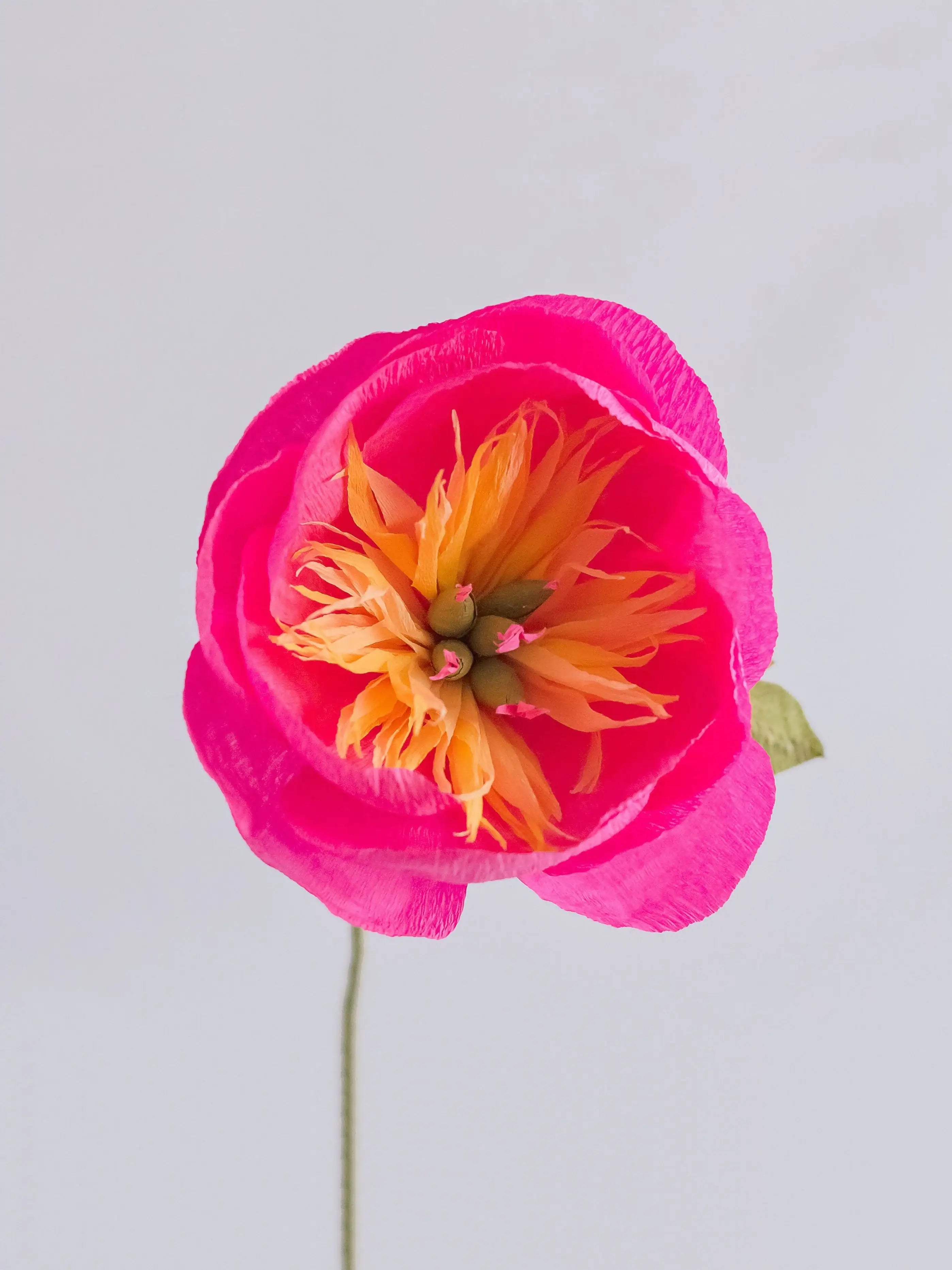 unwilted Paper Bloom Fuchsia Bowl Peony Single Stem | Handcrafted Paper Flower