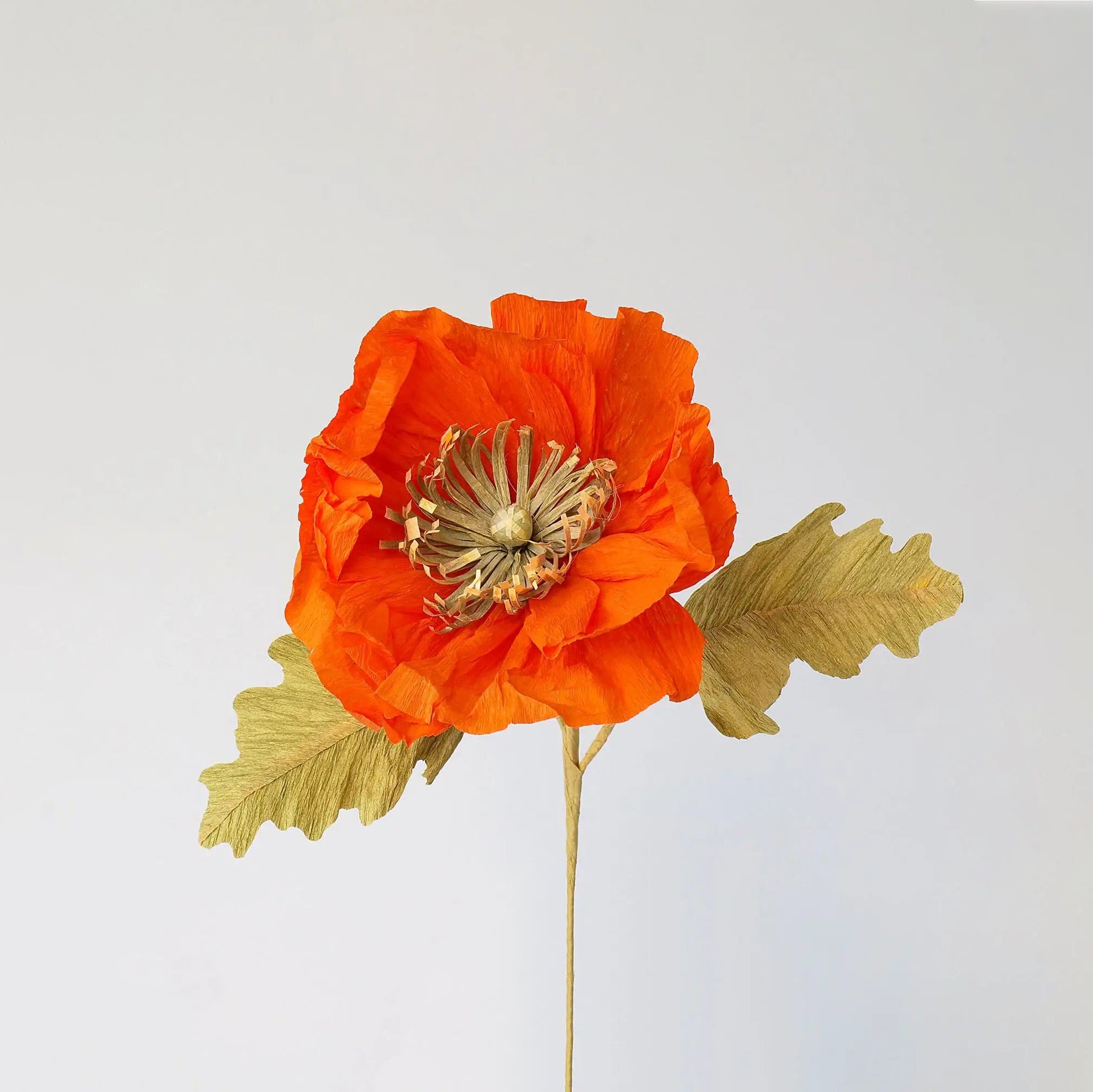 unwilted Paper Bloom Icelandic Poppy Single Stem
