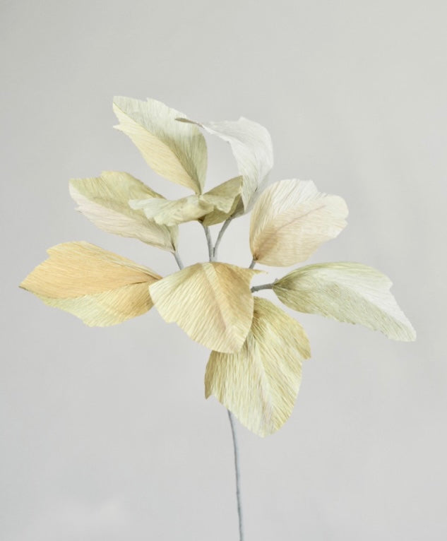 unwilted Paper Bloom Lamb's Ear Greenery Single Stem | Realistic Paper Foliage