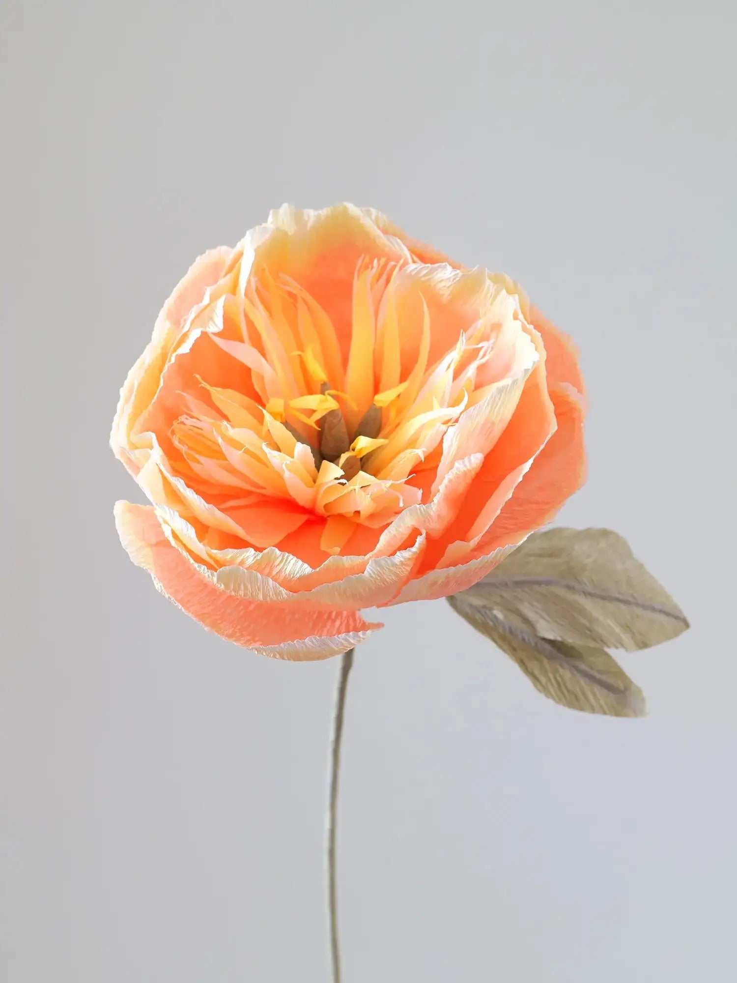 unwilted Paper Bloom Peach Bowl Peony Single Stem | Handcrafted Paper Flower