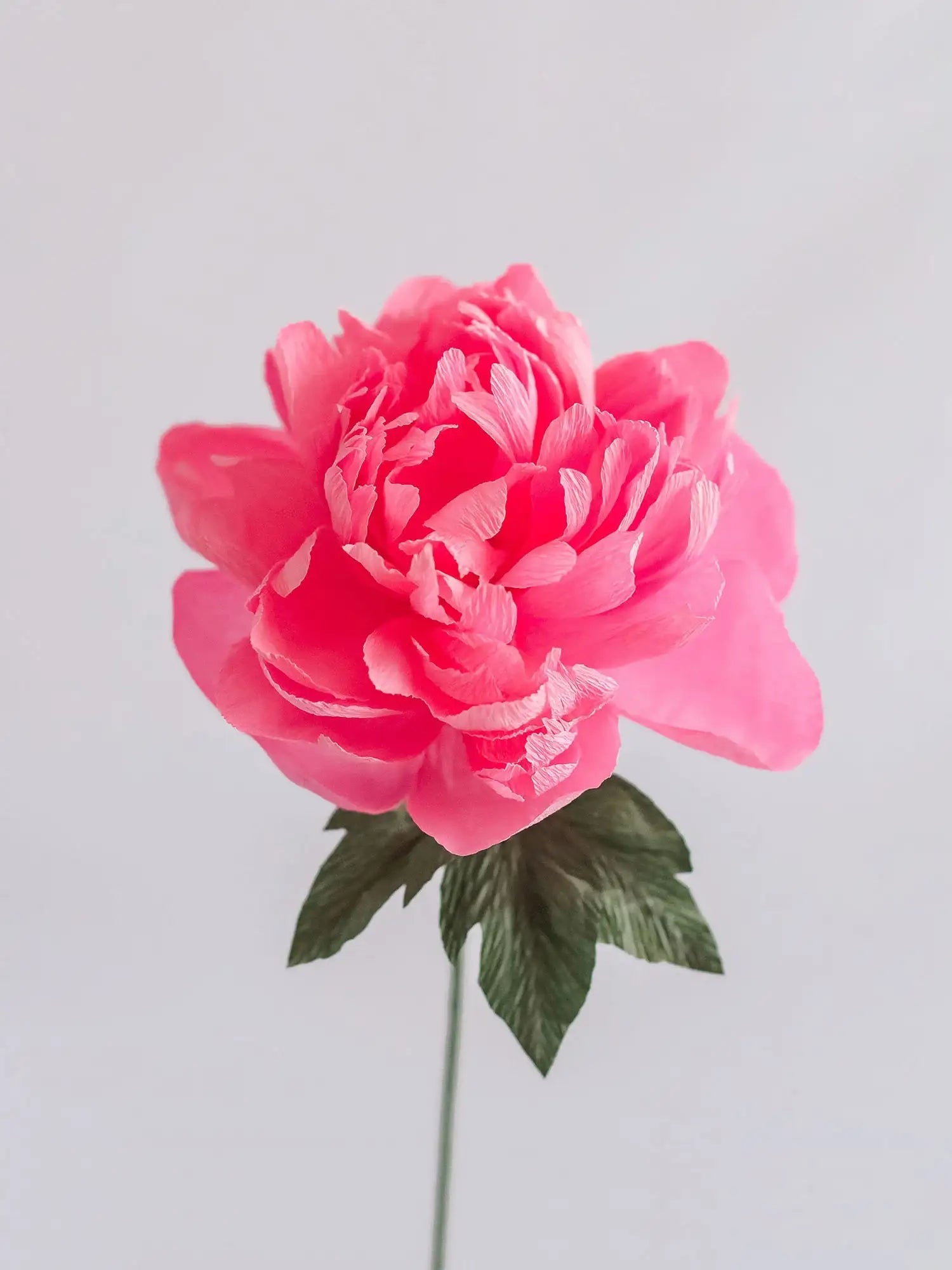 unwilted Paper Bloom Pink Garden Peony Single Stem | Handcrafted Paper Flower