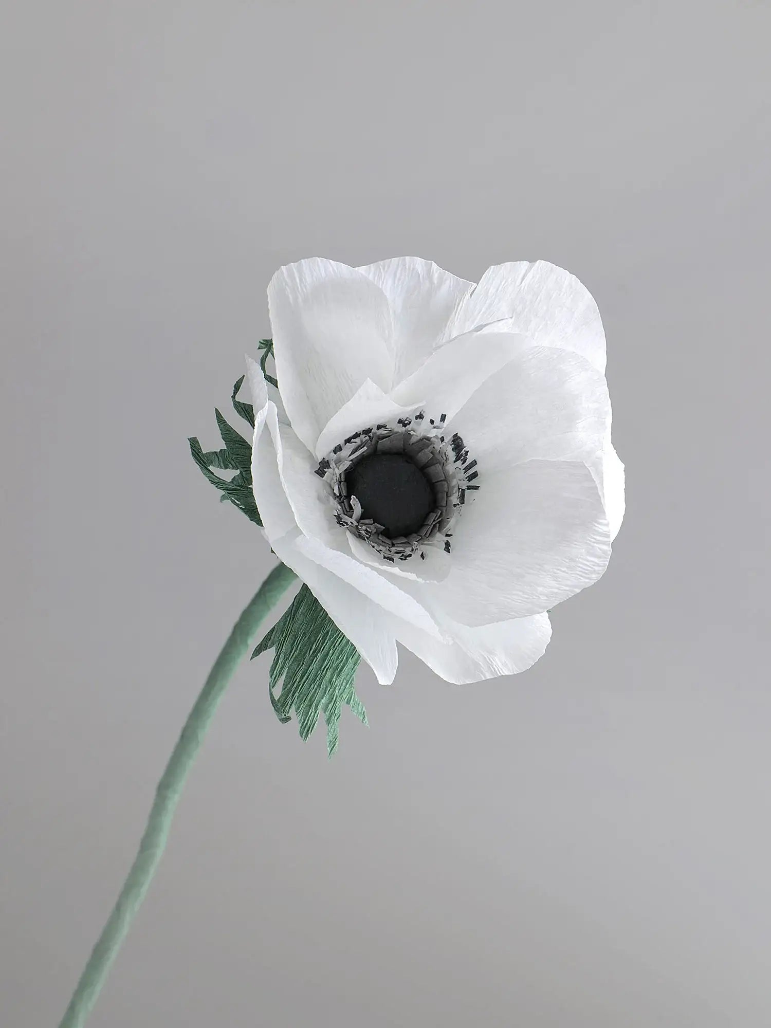 unwilted Paper Bloom Snow White Anemone Single Stem | Handcrafted Paper Flower