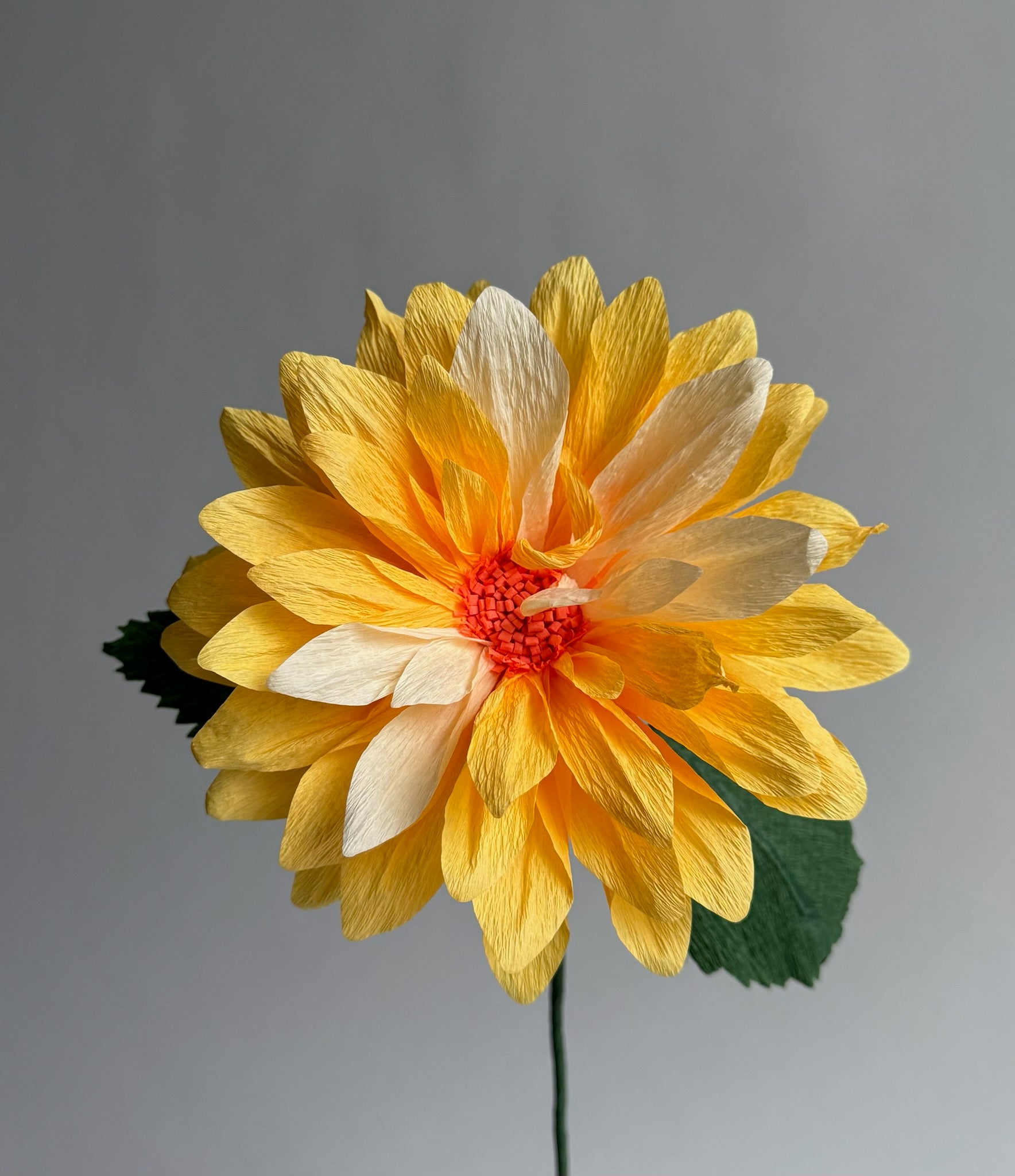 unwilted Paper Bloom Yellow Dahlia Single Stem | Handcrafted Paper Flower